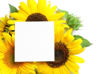 Beautiful bright sunflowers and card on white background