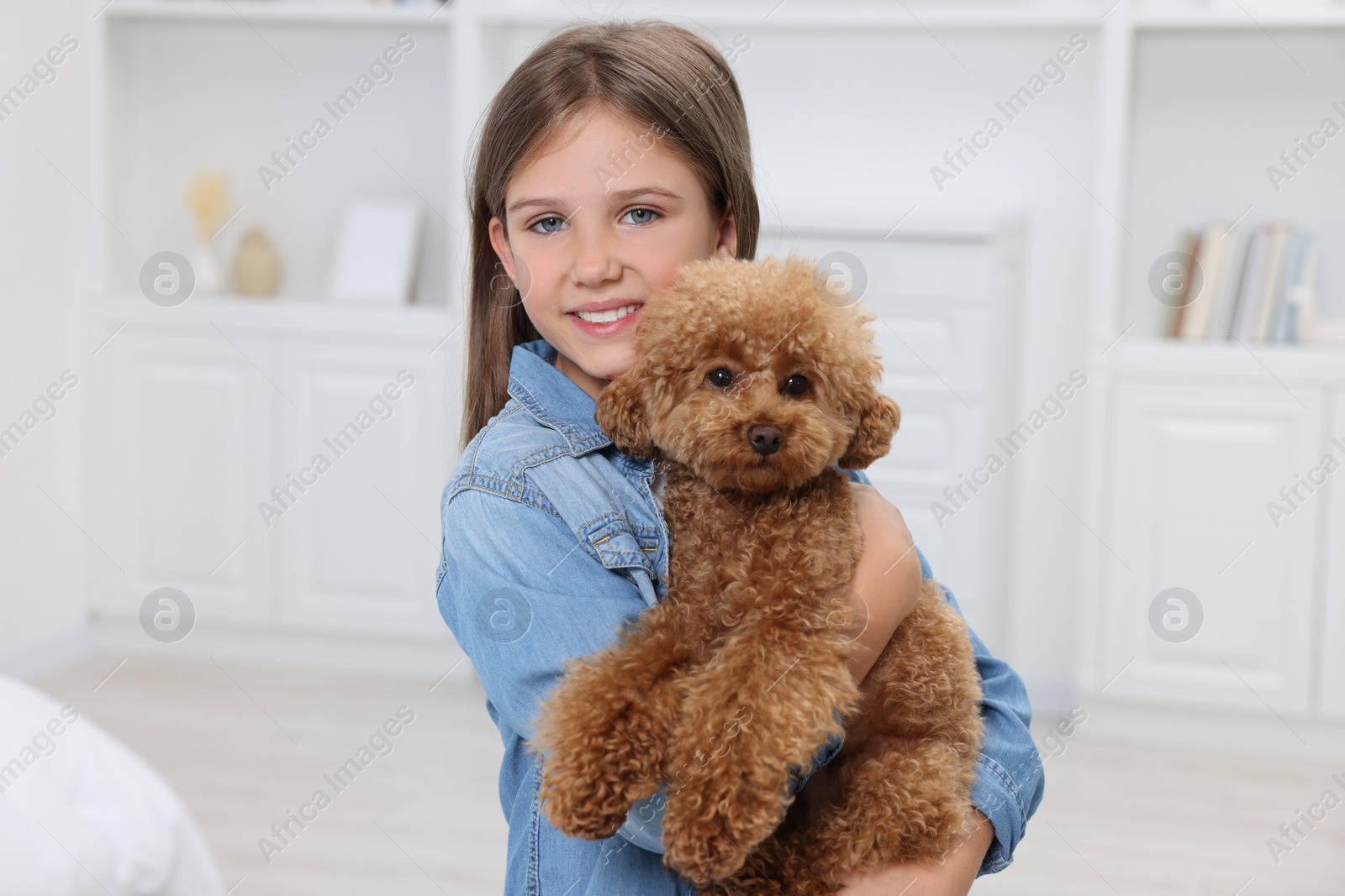 Photo of Little child with cute puppy at home. Lovely pet