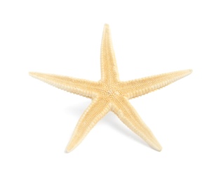 Photo of Beautiful starfish on white background. Beach object