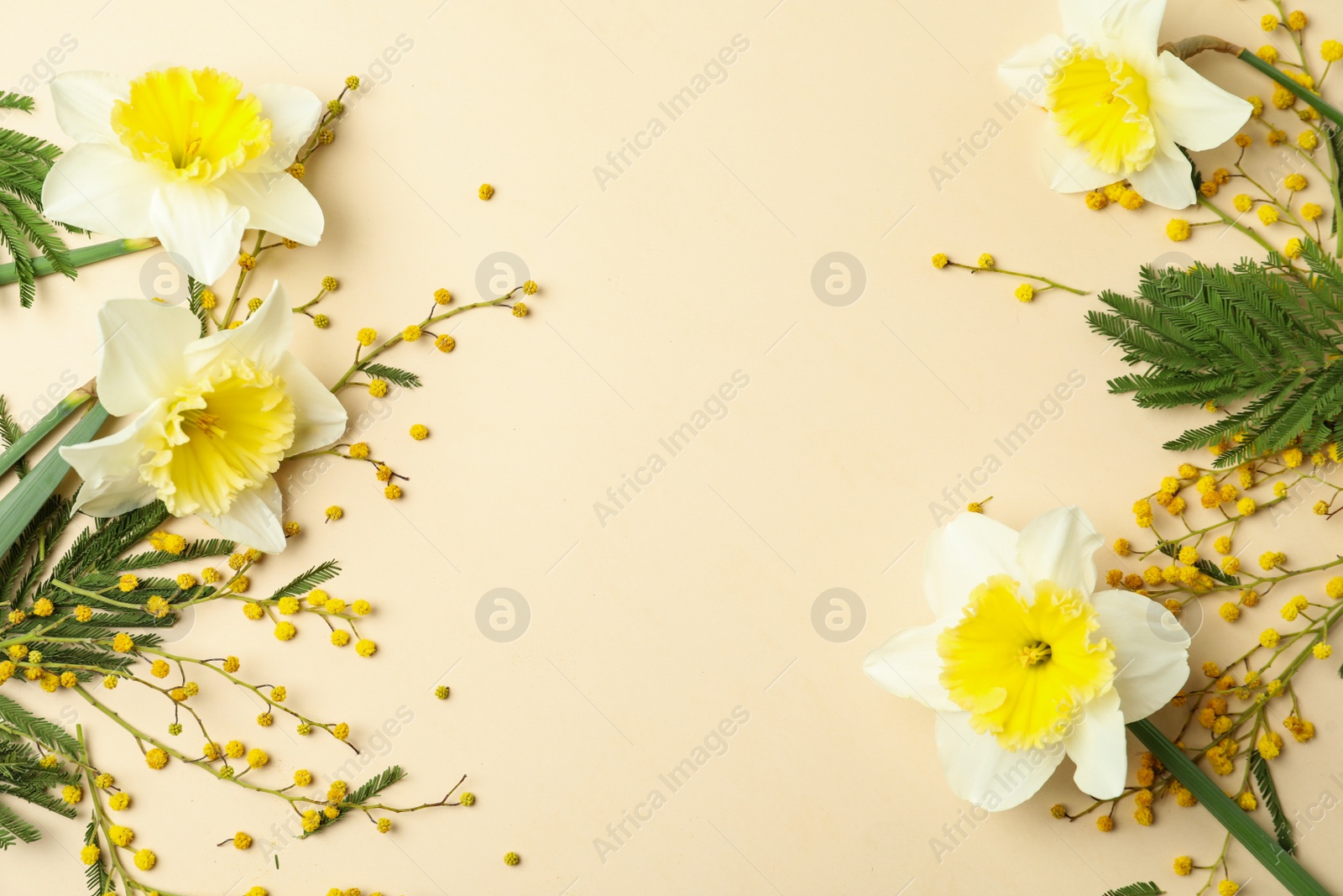 Photo of Flat lay composition with spring flowers on beige background, space for text