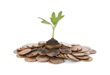 Photo of Pile of coins and green plant on white background. Investment concept