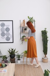 Beautiful woman taking care of houseplant in room