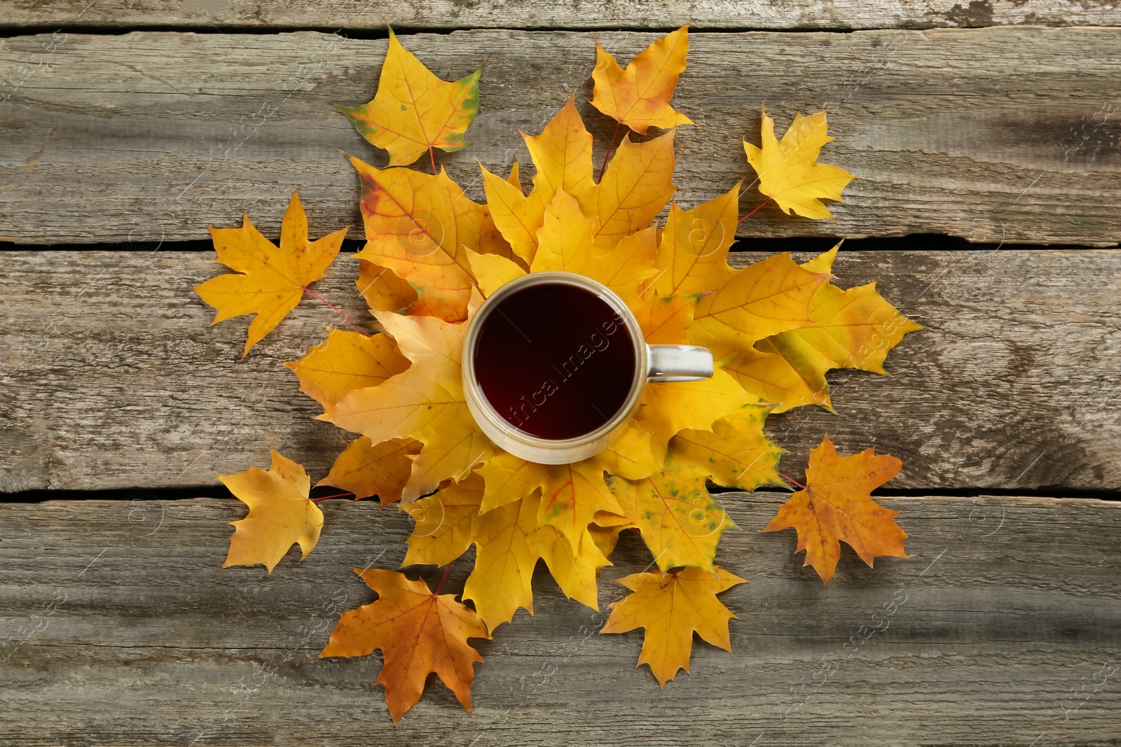 Photo of Cup of hot tea and autumn leaves on wooden table, flat lay