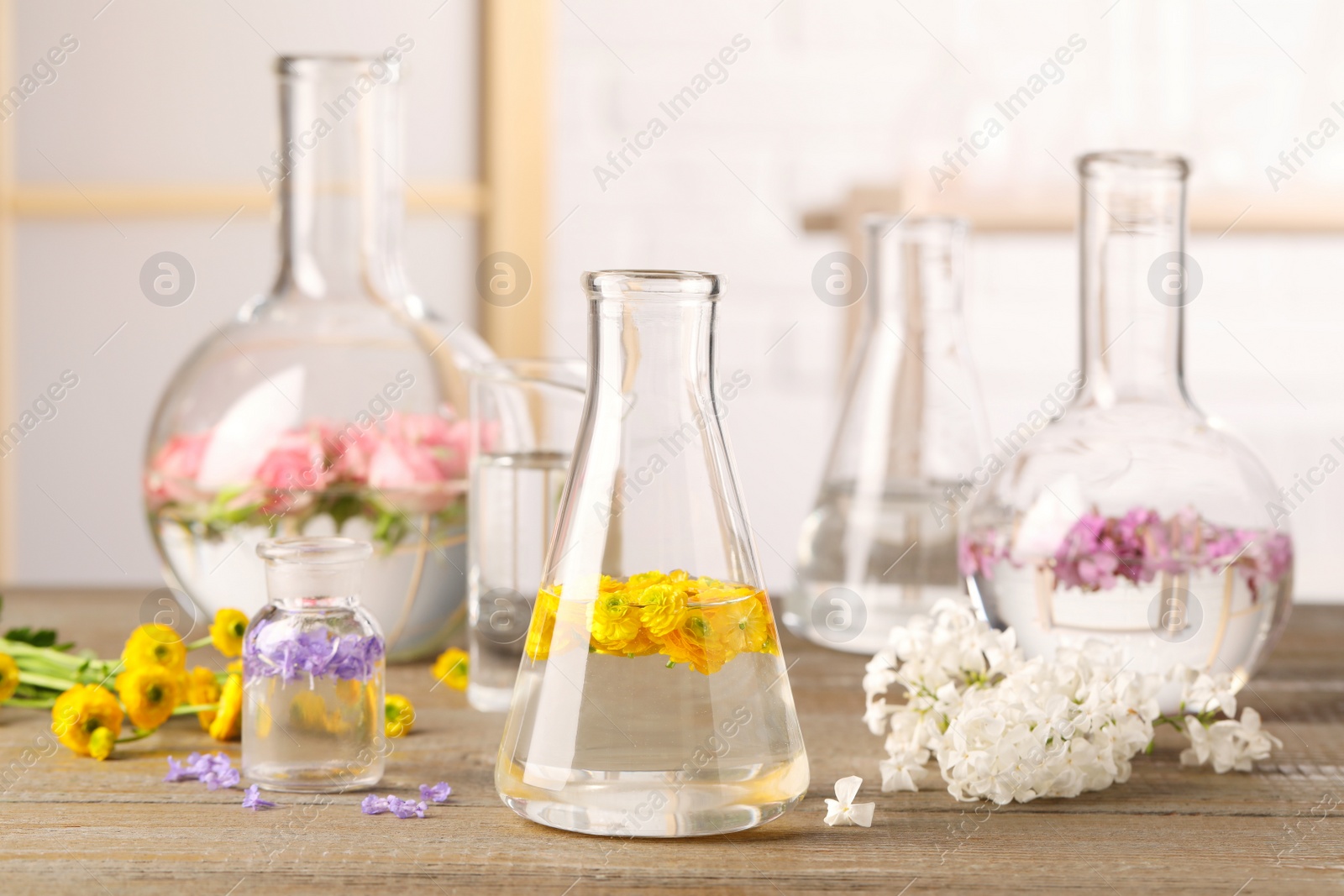 Photo of Laboratory glassware with flowers on wooden table. Extracting essential oil for perfumery and cosmetics