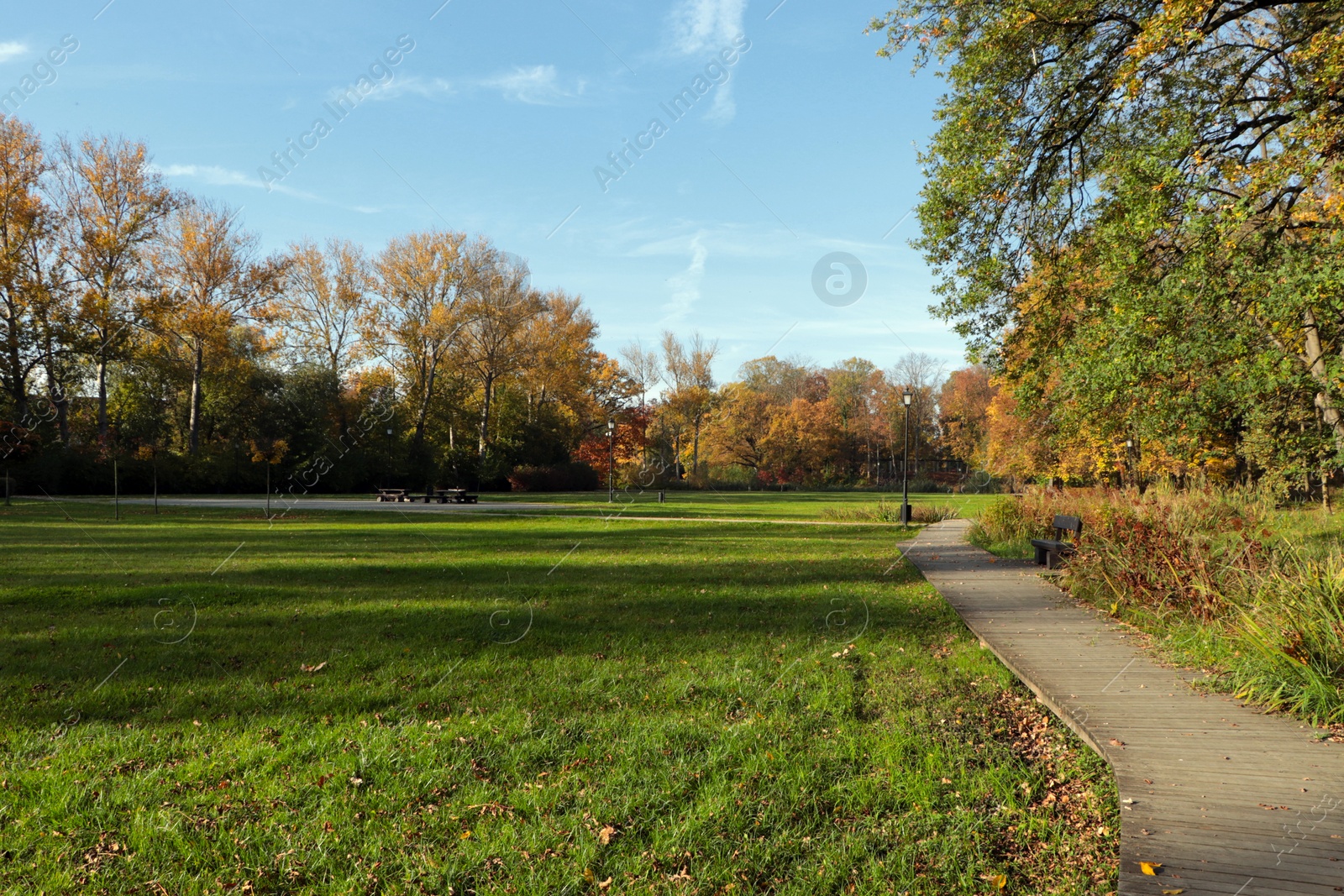 Photo of Picturesque view of park with beautiful trees and pathway on sunny day. Autumn season