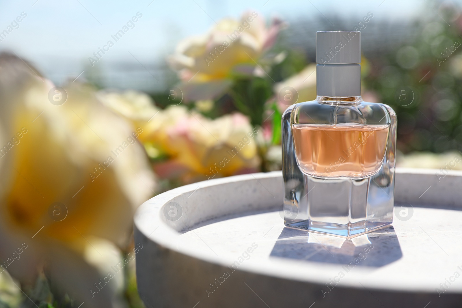 Photo of Bottle with rose perfume on table among flowers in blooming garden, space for text