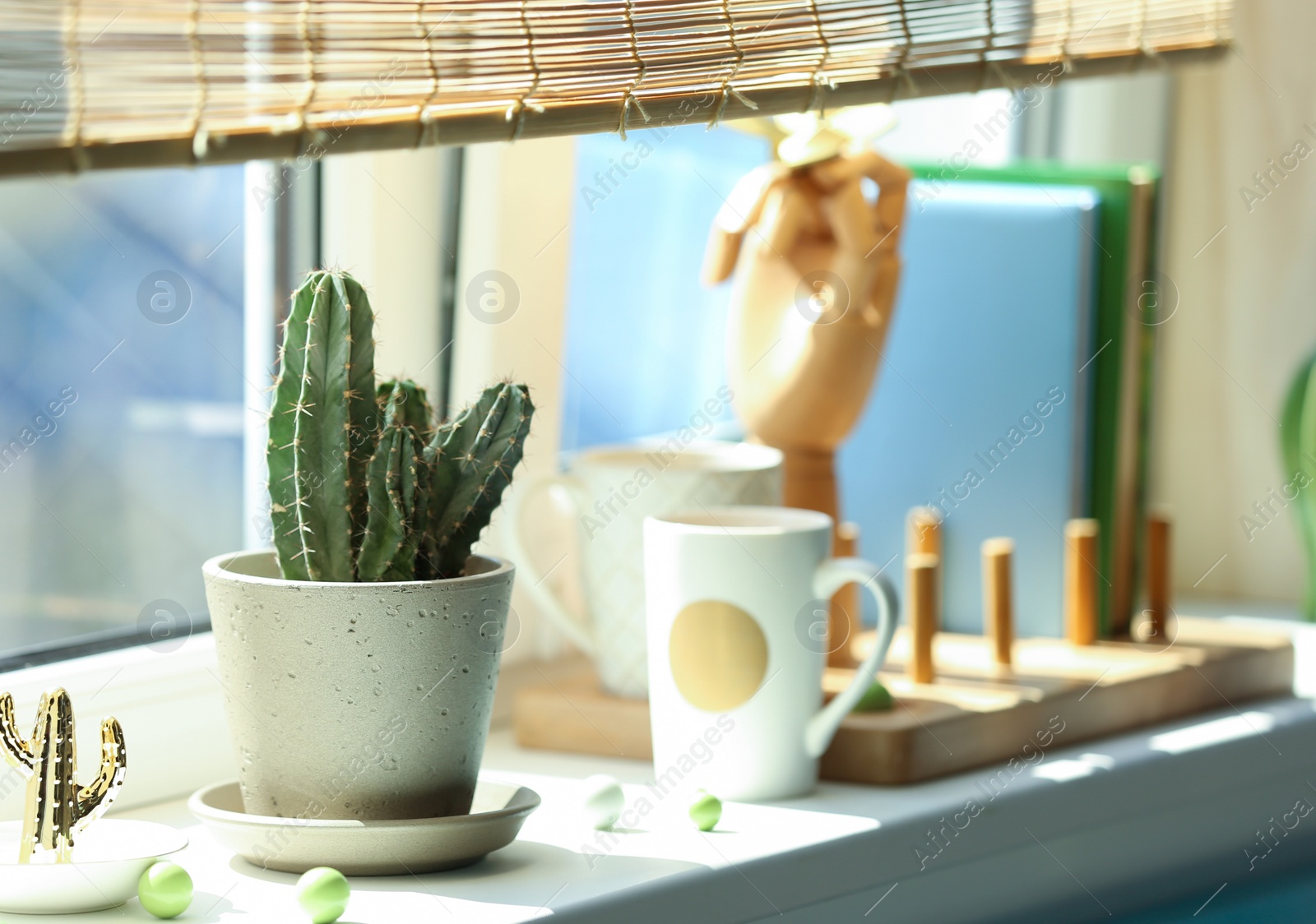 Photo of Green cactus in pot on window sill indoors. Stylish interior