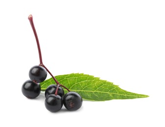 Photo of Delicious ripe black elderberries with green leaf isolated on white