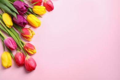 Photo of Beautiful spring tulips on pink background, flat lay. Space for text