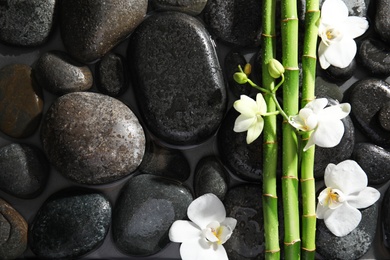 Photo of Bamboo branches, flowers and spa stones in water, top view. Space for text