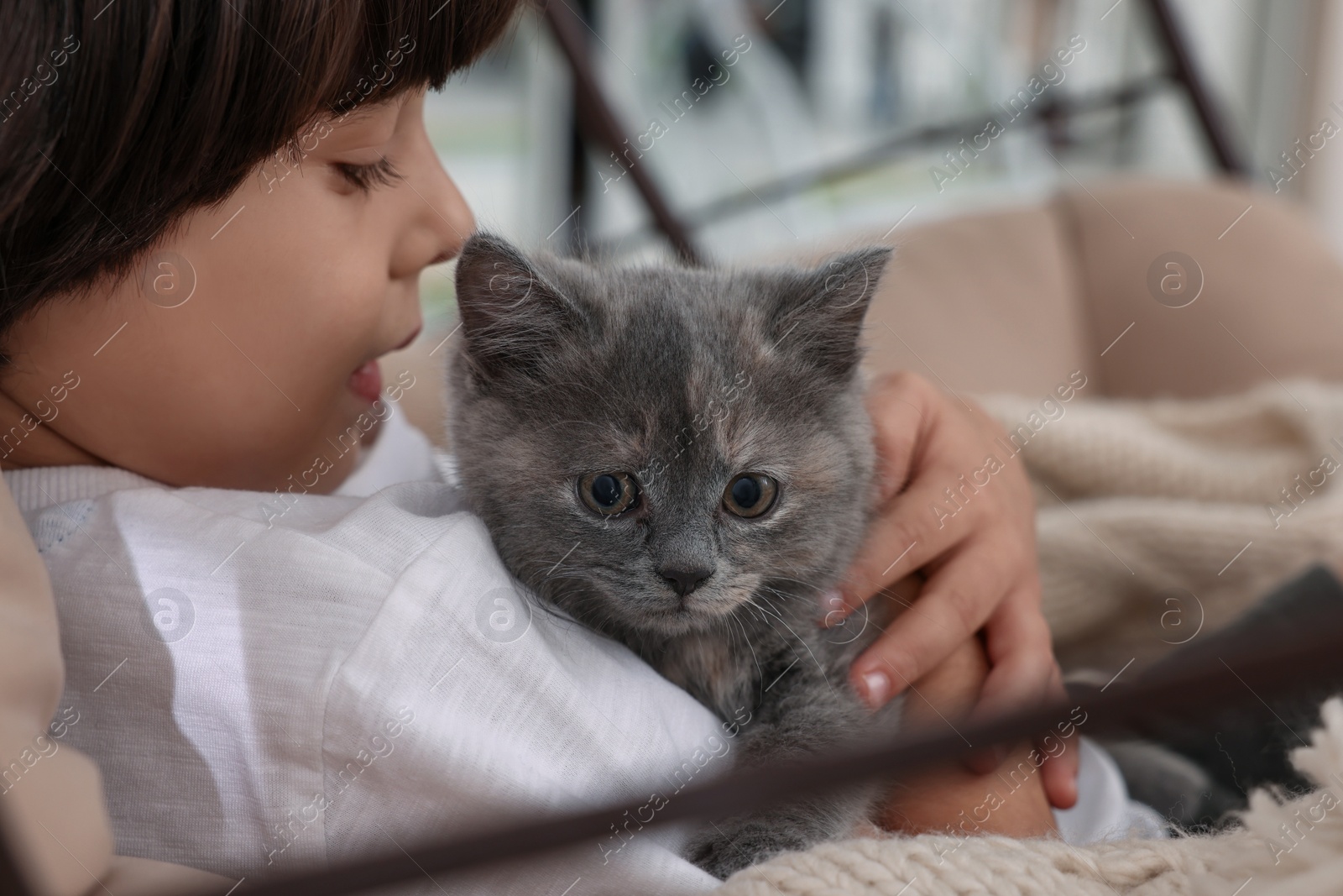 Photo of Cute little boy with kitten in chair at home, closeup. Childhood pet