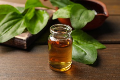 Bottle of broadleaf plantain extract and leaves on wooden table