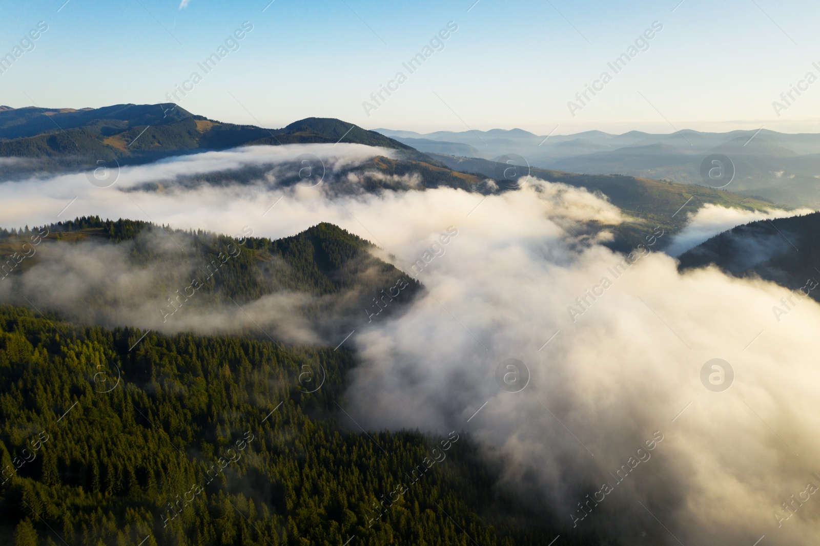 Image of Aerial view of beautiful mountain forest covered with fluffy clouds. Drone photography
