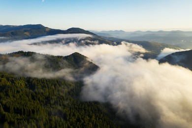 Image of Aerial view of beautiful mountain forest covered with fluffy clouds. Drone photography