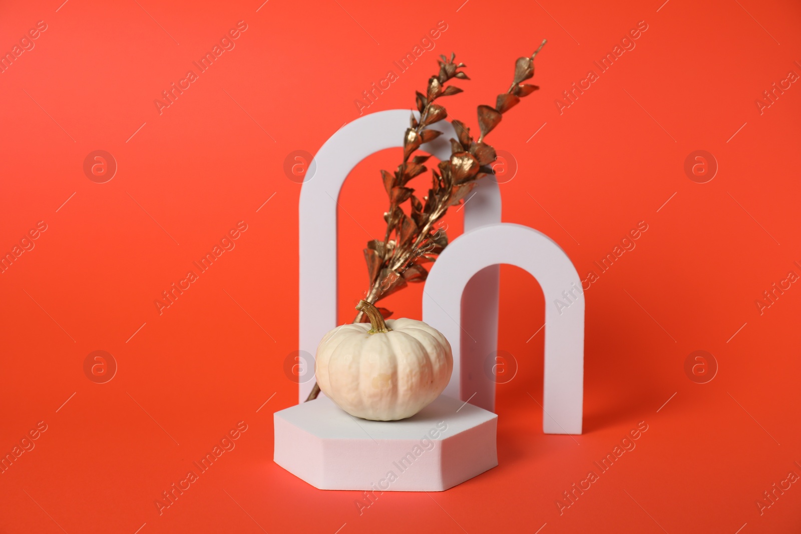 Photo of Autumn presentation for product. White geometric figures, pumpkin and golden branch with leaves on dark orange background