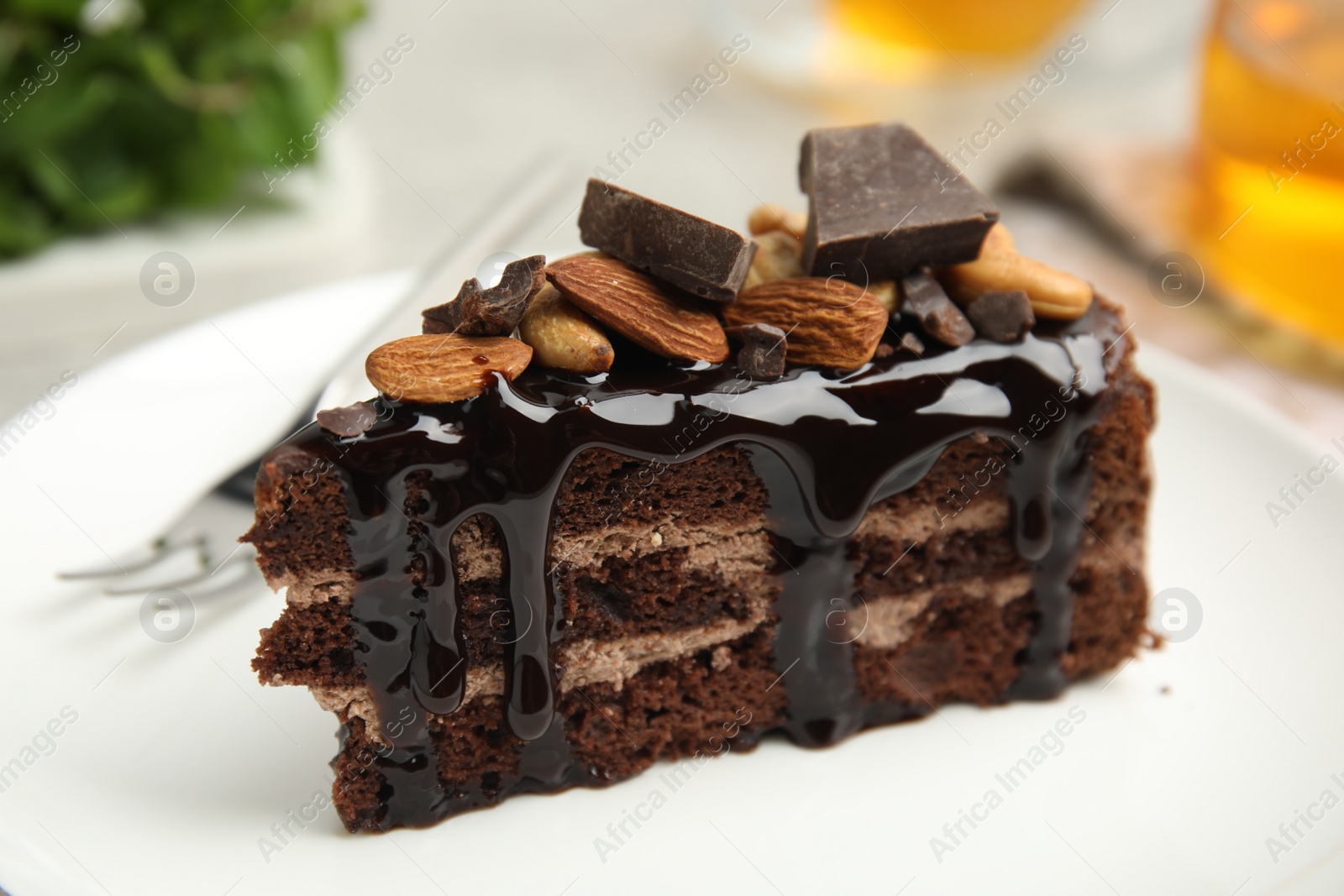 Photo of Piece of tasty homemade chocolate cake with nuts on plate, closeup