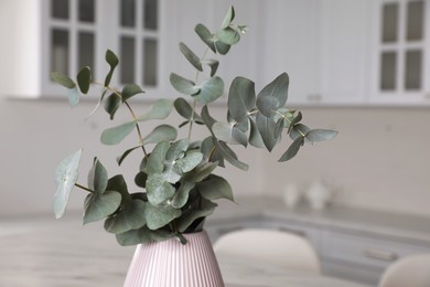 Photo of Vase with beautiful eucalyptus branches in kitchen, closeup