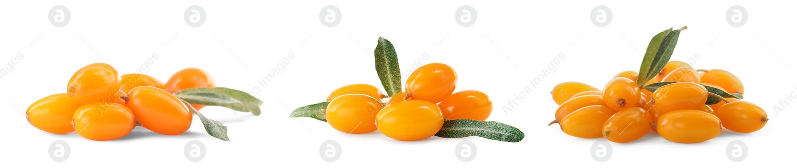 Image of Set with fresh ripe sea buckthorn berries on white background. Banner design