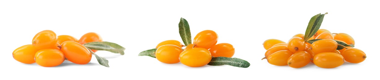 Image of Set with fresh ripe sea buckthorn berries on white background. Banner design