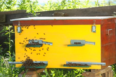 Photo of Beautiful yellow wooden beehive and bees on apiary outdoors