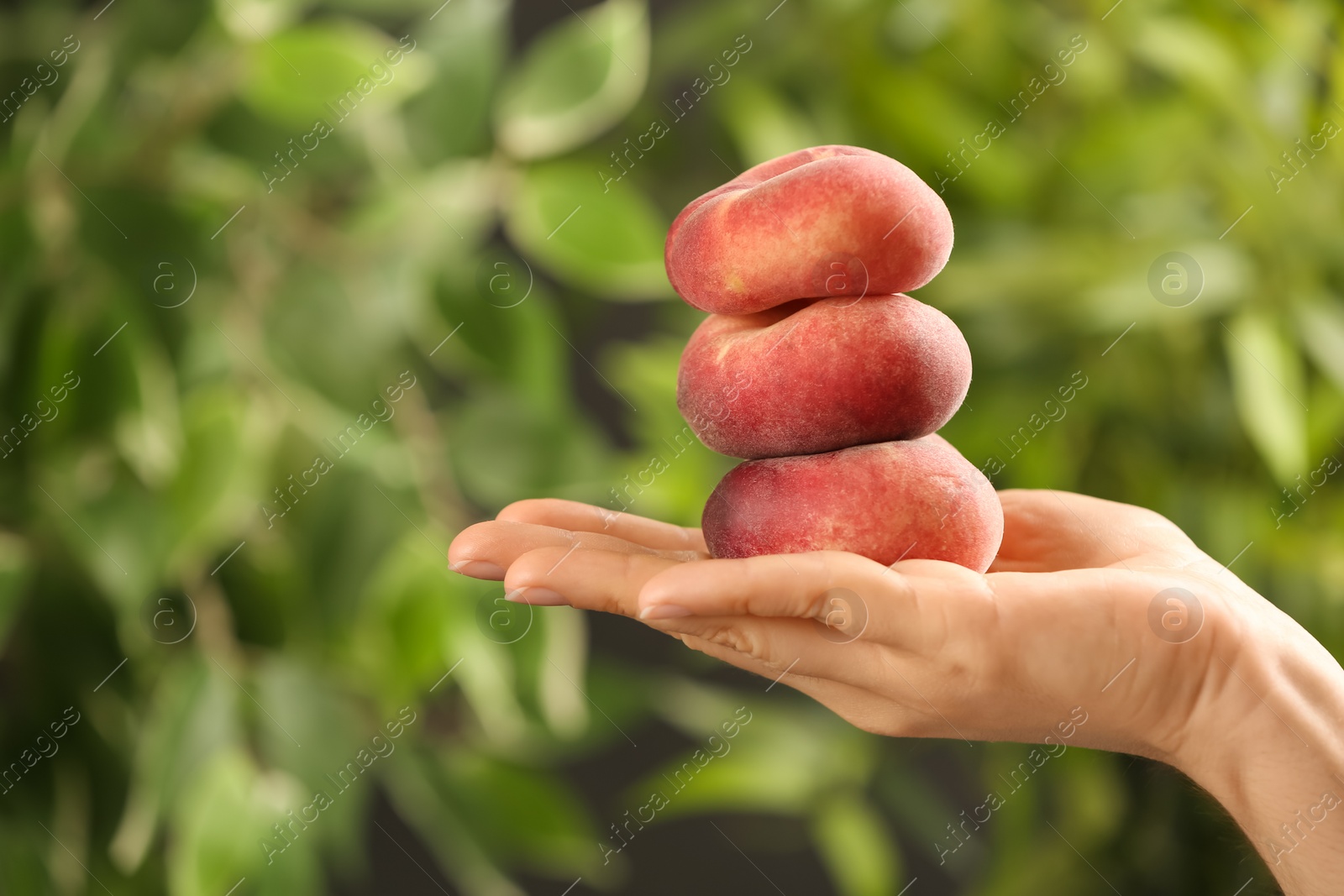 Photo of Woman holding fresh ripe donut peaches on blurred green background, closeup