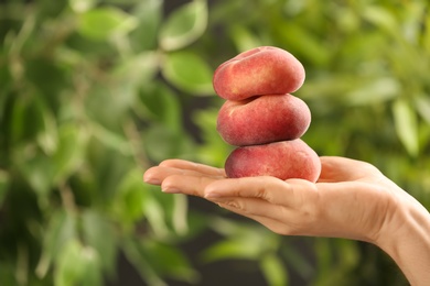 Woman holding fresh ripe donut peaches on blurred green background, closeup
