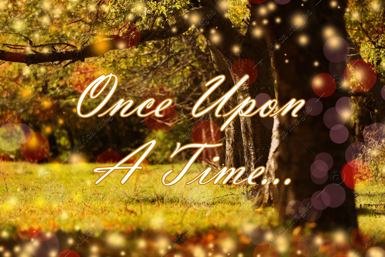 Image of Beautiful magic forest and text Once upon a time. Fairy tale world