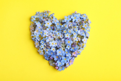 Heart made of amazing spring forget-me-not flowers on color background, top view