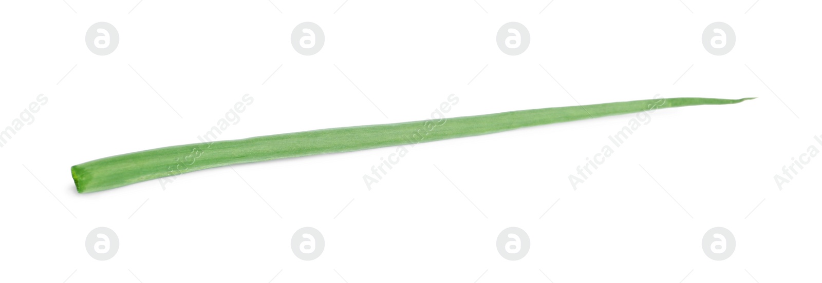 Photo of Fresh green spring onion isolated on white