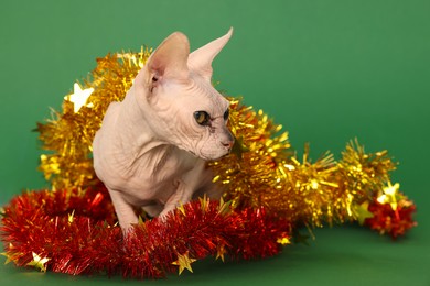 Photo of Adorable Sphynx cat with colorful tinsels on green background