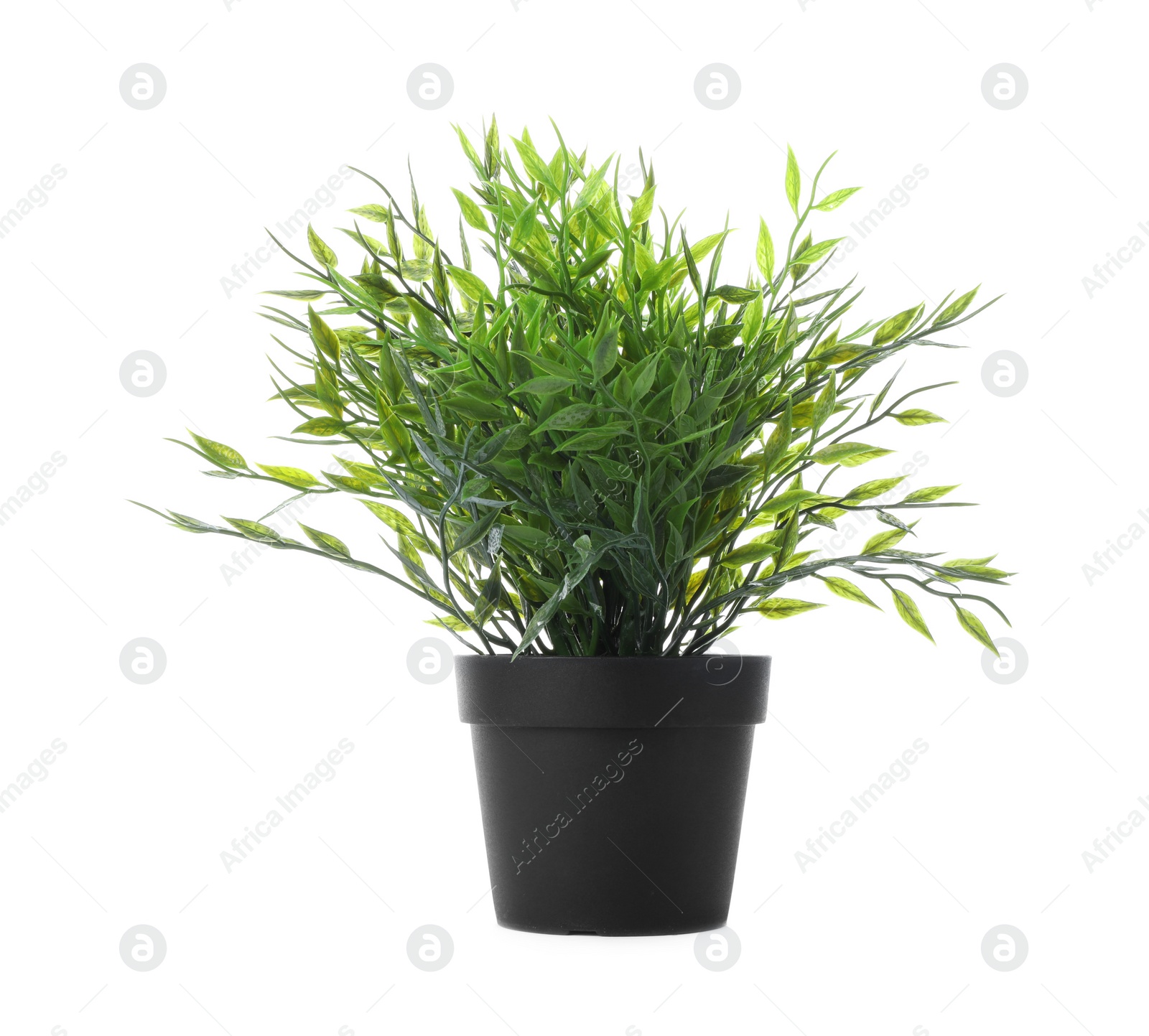 Photo of Beautiful artificial plant in flower pot isolated on white