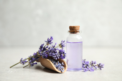 Photo of Bottle of essential oil and lavender flowers on light stone table