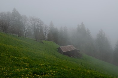 Photo of Picturesque view of green grass, trees and building covered by fog in mountains