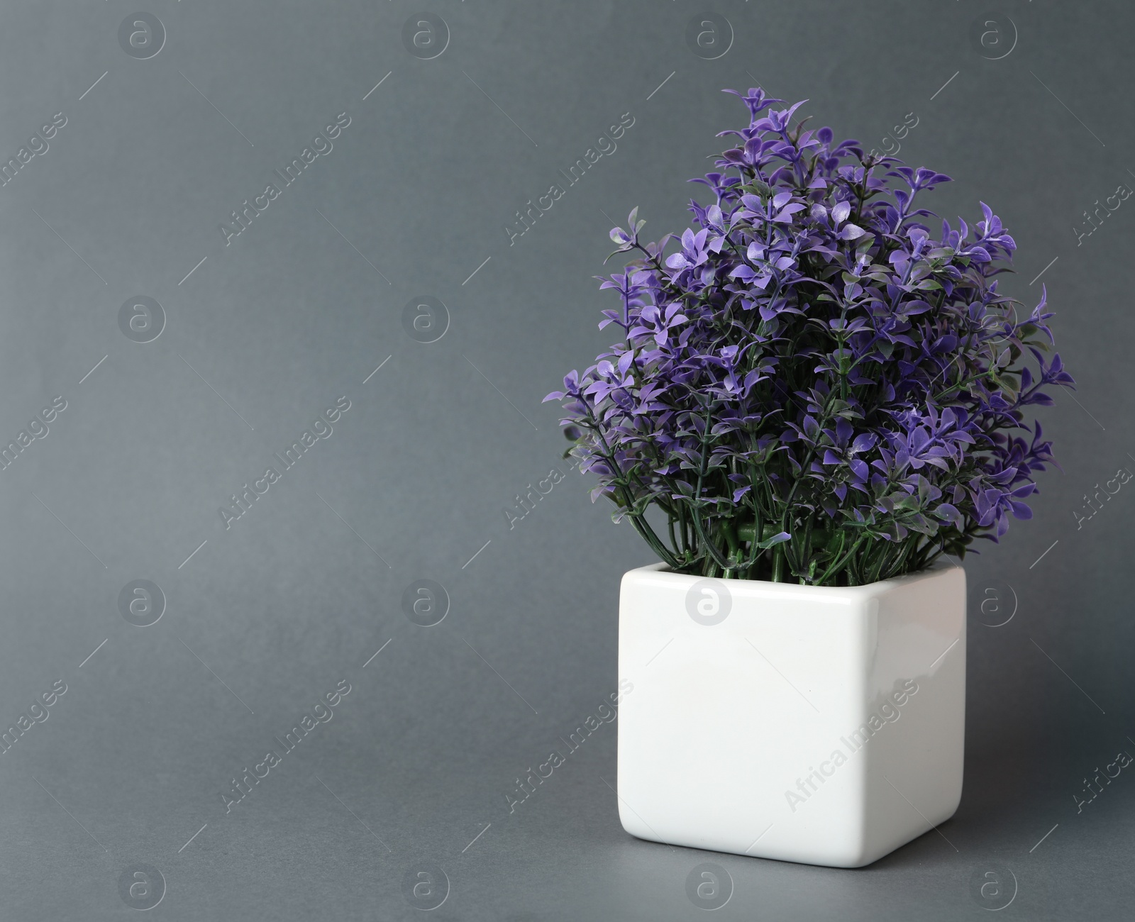 Photo of Beautiful artificial plant in flower pot on grey background, space for text