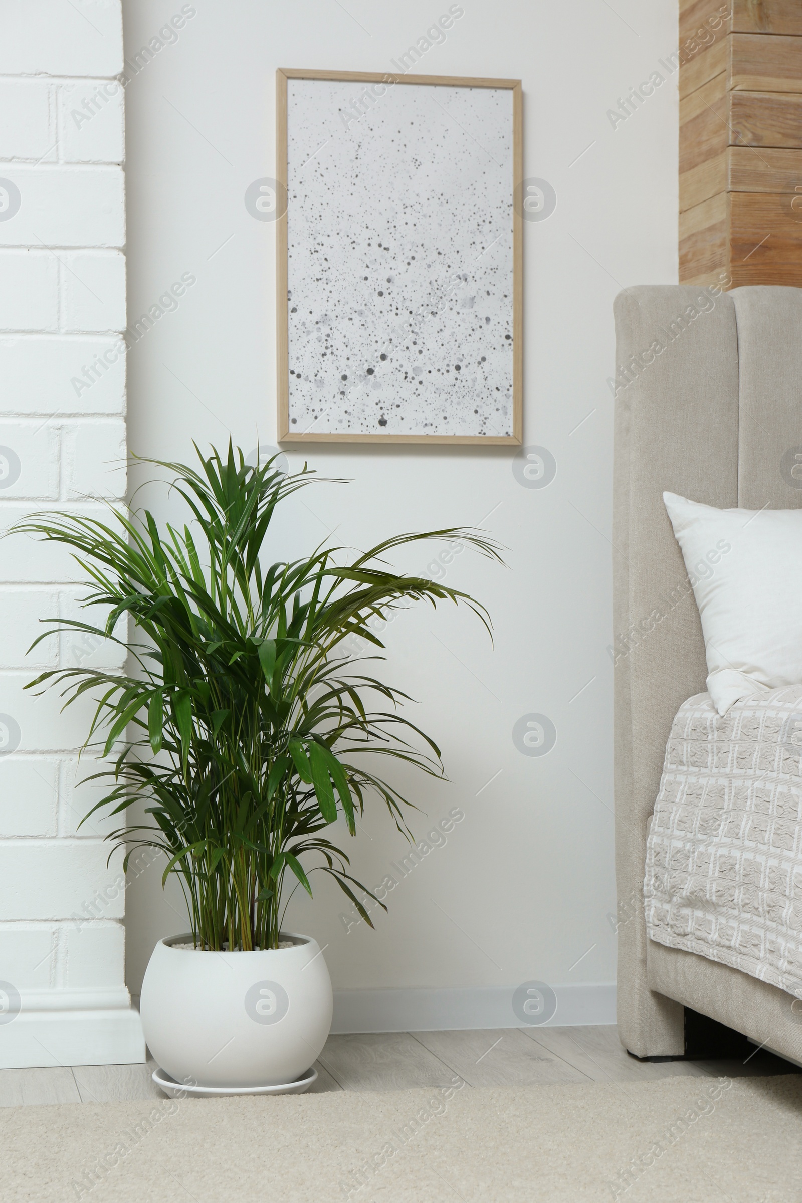 Photo of Stylish bedroom interior with exotic house plant