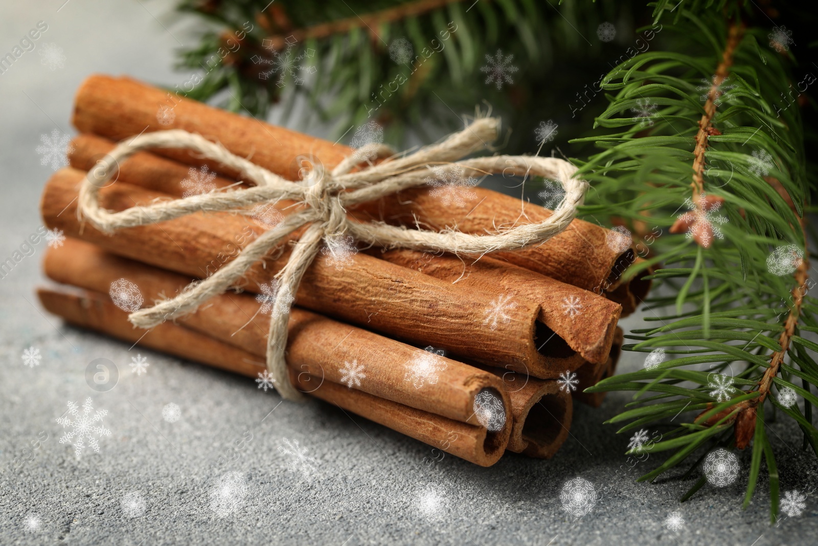 Image of Cinnamon and fire tree branches on grey table, closeup