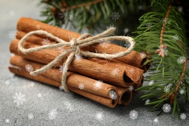 Cinnamon and fire tree branches on grey table, closeup