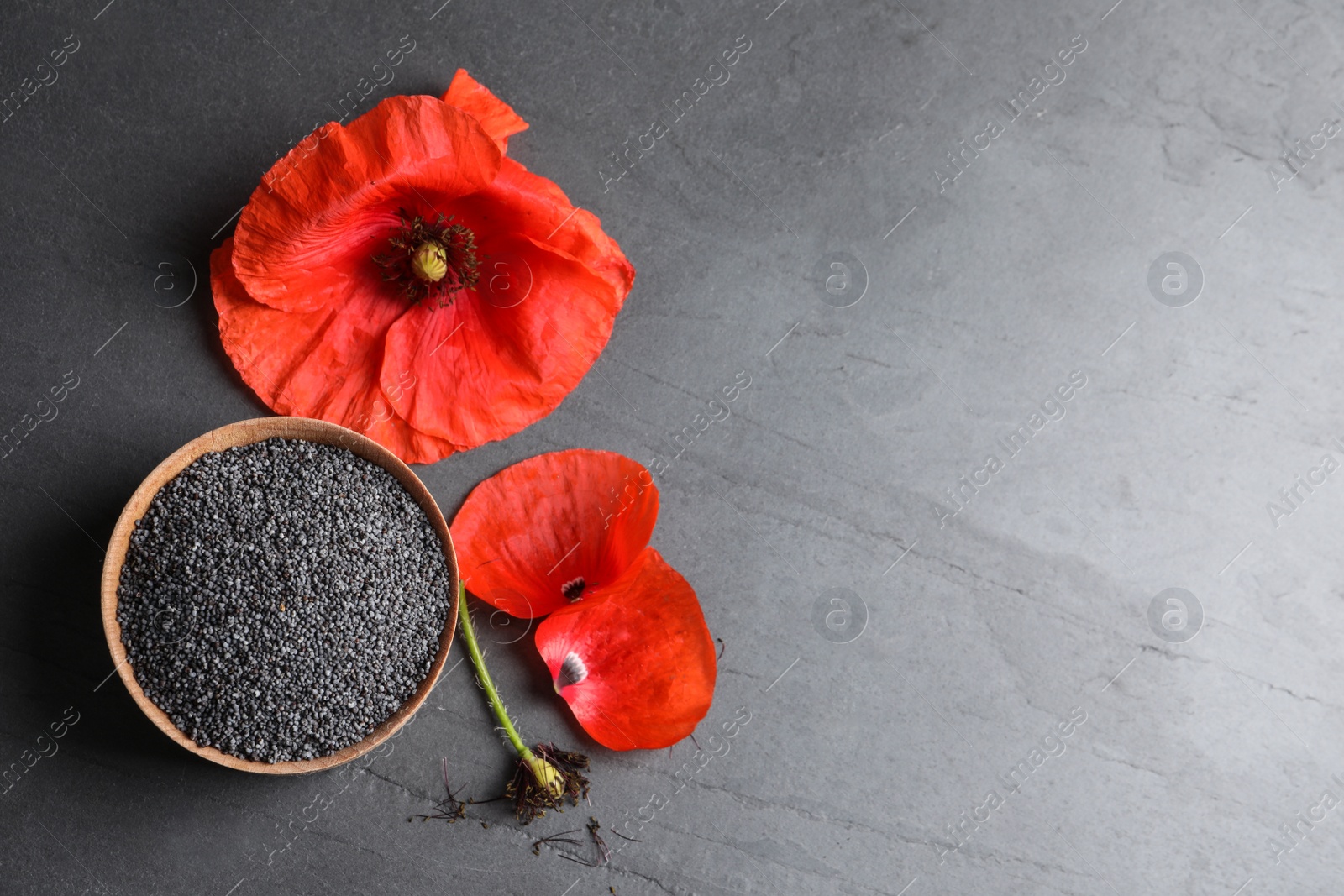 Photo of Wooden bowl of poppy seeds and flower on grey table, flat lay with space for text