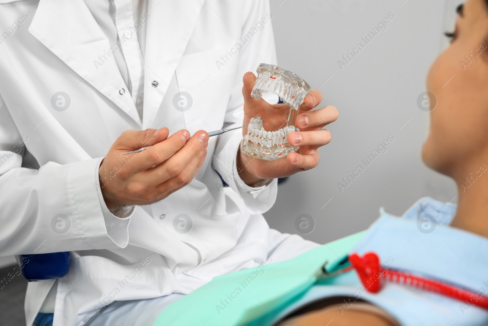 Photo of Professional dentist showing patient jaws model in clinic, closeup