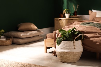 Houseplant in wicker basket near bed indoors, space for text