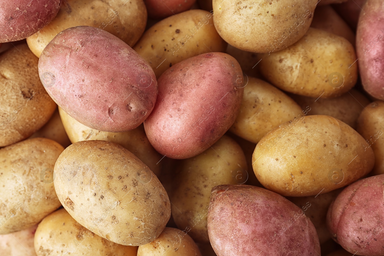 Photo of Fresh ripe organic potatoes as background, top view