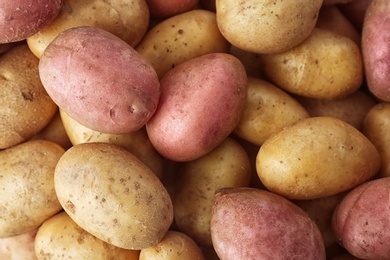 Photo of Fresh ripe organic potatoes as background, top view