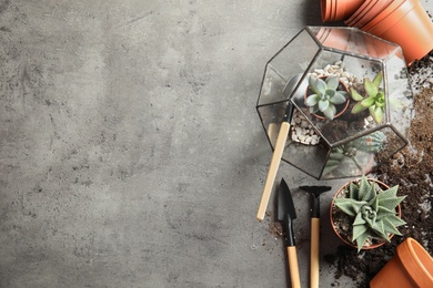 Photo of Home plants, pots and gardening tools on grey background, flat lay. Space for text