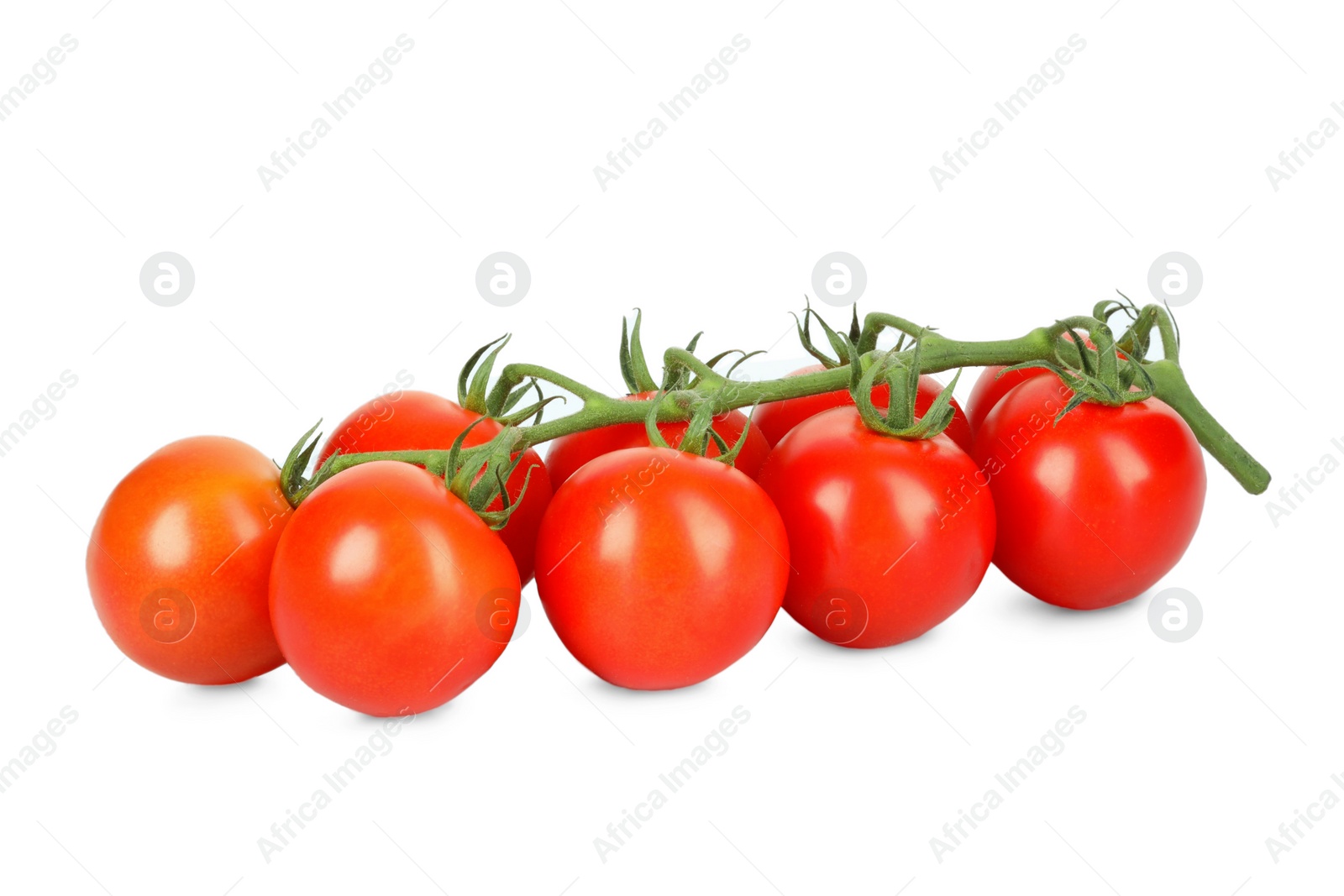 Photo of Branch of red ripe cherry tomatoes isolated on white