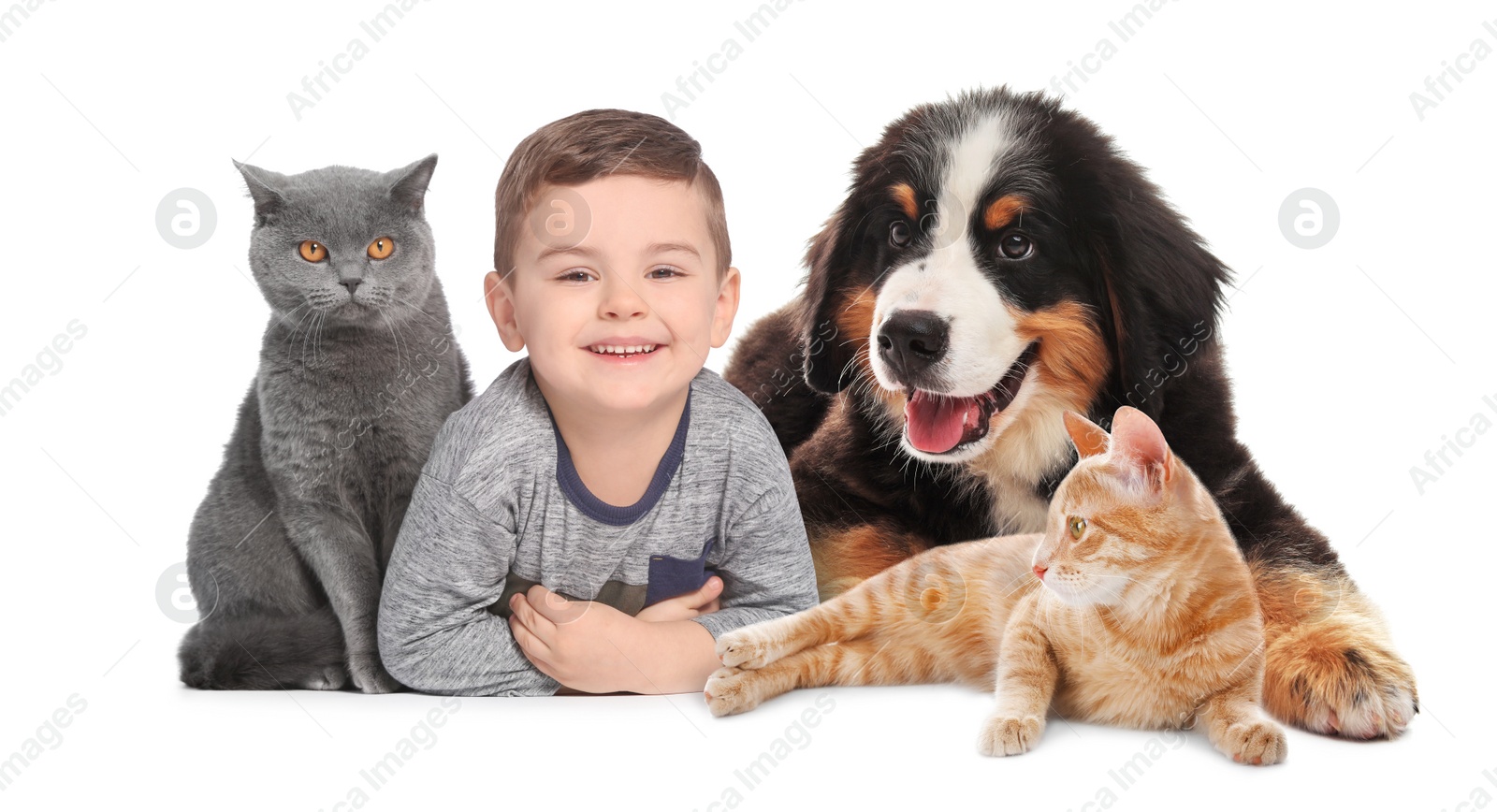 Image of Cute little child with his pets on white background. Banner design