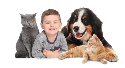 Cute little child with his pets on white background. Banner design