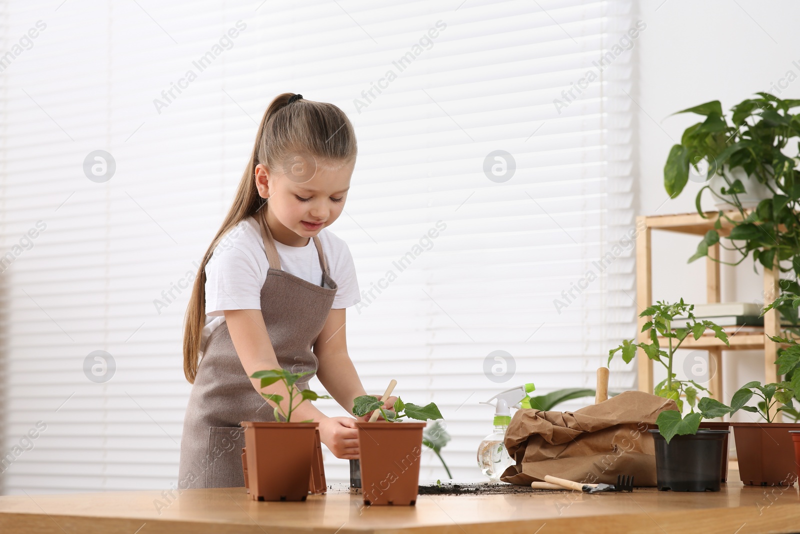 Photo of Cute little girl planting seedling into pot at wooden table in room