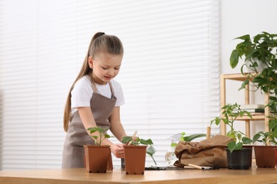 Cute little girl planting seedling into pot at wooden table in room