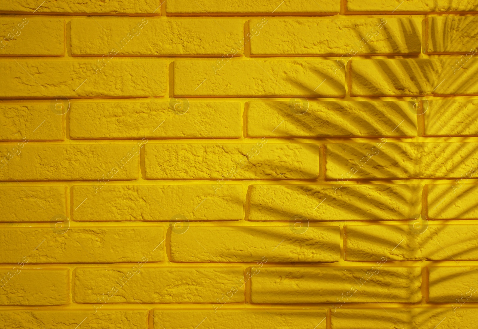 Photo of Shadow of tropical palm leaf on yellow brick wall, space for text