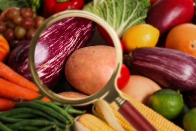 Image of Magnifying glass focusing on vegetables, closeup. Food control 